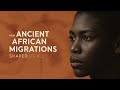 Tracing Ancient African Migrations: How DNA Reveals the Deep Roots of the Human Family Tree