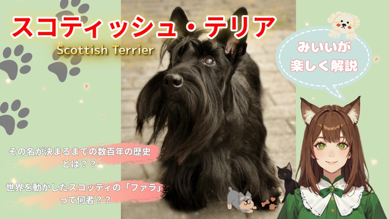 幻の光和陶器1960年代生きているように美しい瞳で凛と佇む犬スコティッシュテリア Scottish Terrier] Scotland's Oldest Terrier Born Through Centuries