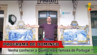 Venha conhecer a Quinta mais famosa de Portugal, Sandeman...