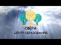 Вебинар «Ребенок с ОВЗ: коррекционно-развивающая работа в условиях учреждения»