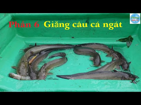 Video 426 Trải nghiệm 240h ở vùng biển kiên giang P6 |... - youtube