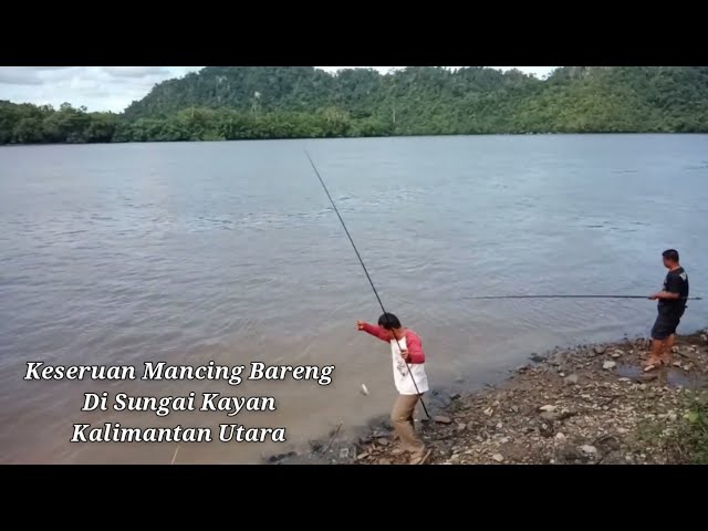 KESERUAN MABAR (MANCING BARENG) SUNGAI KERUBUNG KALIMANTAN UTARA class=