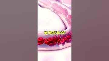 The Benefits of Red Clover for Vascular Health