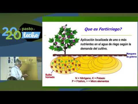 Video: Fertilizantes Fosfatados: ¿que Es? Tipos, Producción Y Aplicación. ¿Qué Fertilizantes Se Clasifican Como Fósforo Y Para Qué Sirven?