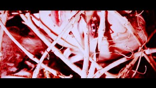 NAZARE NAMELESS 第六感 NAZARE - IDEAL(MV FULL) - YouTube