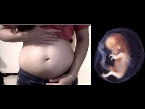 Panza de 11 semanas de Embarazo y desarrollo del - YouTube