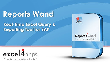 Reports Wand SAP - with T Code