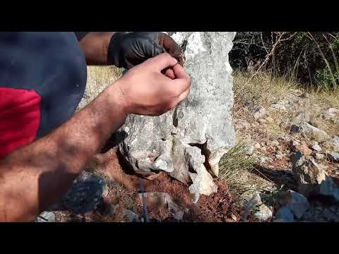 Gerçek Define Kasasını