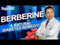 Does Berberine Really Help Control Blood Sugar? Dump Metformin?