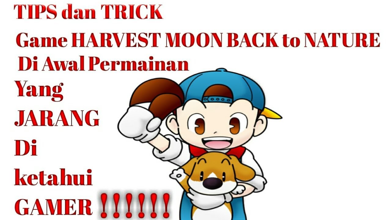 Tips bermain harvest moon back to nature untuk pemula dan ...