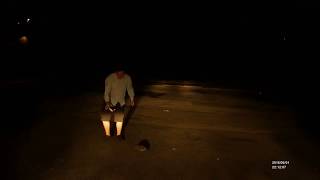 Zachránil jsem Ježka!! / Bus driver save the hedgehog