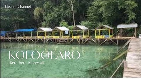 WISATA KOLOOLARO, BETE-BETE,MOROWALI SULTENG courtesy : video Bu Mieke