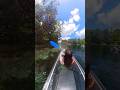 See wild monkeys and manatees in Silver Springs, FL! 🐒