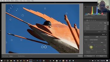 Removing Sensor Dust in Lightroom - Editing Tutorial
