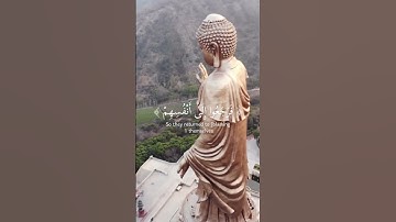 سورة الأنبياء |ياسر الدوسري #viral #اكسبلور #explore #قرآن #quran #اسلام #تلاوة_خاشعة #لايك #fypシ