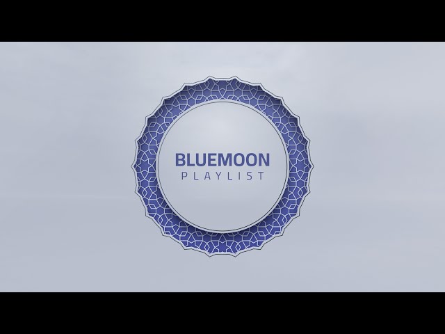 Mevlan Kurtishi - Bluemoon Playlist 2022 class=