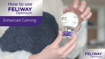 How to Use FELIWAY® Optimum