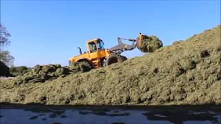 Silage 2017 - Drone Footage - George Walshe Agri (HD)