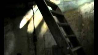 Brighton Pepper Pot Tour.mp4