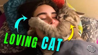 Loving Cat Refuses to Remove Its Paw off Lady’s Face