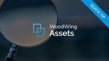 WoodWing Assets Quick Tip - Search & Filter