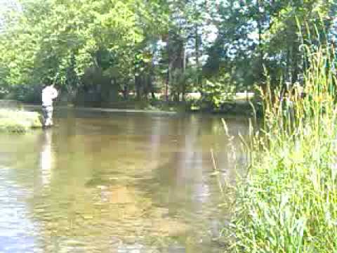 South Holston Dry Fly Action - 6-19-2010 - Jeff Wi...