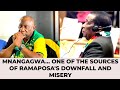 MNANGAGWA... ONE OF THE MAJOR SOURCES OF RAMAPOSA