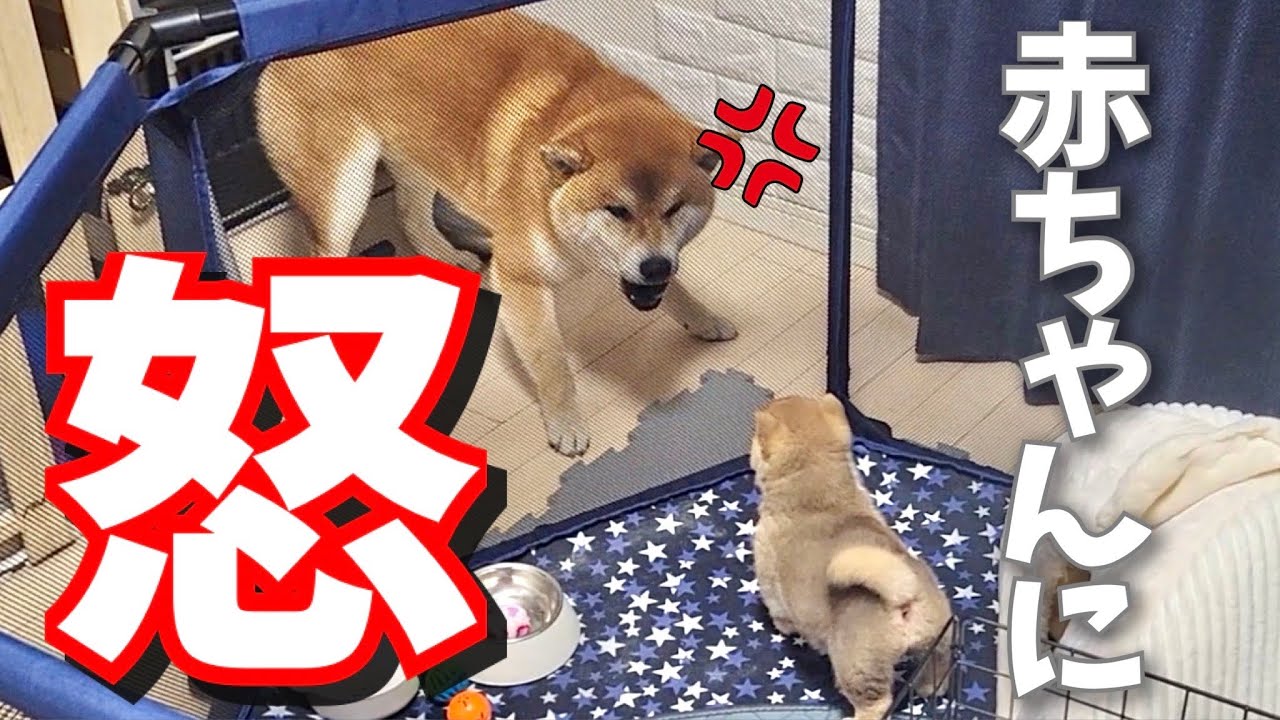 maxresdefault.jpg