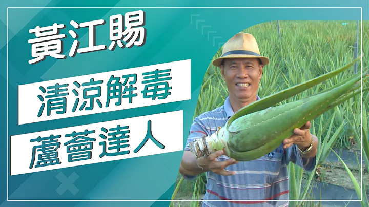 草地状元-夏季必备防晒圣品-芦荟达人VS美人水专家(20170821播出)careermaster - 天天要闻