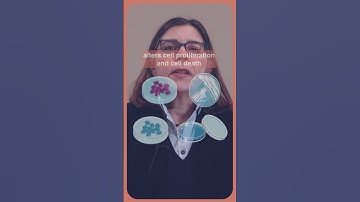 How did the Working Group reach a conclusion for all three pesticides?