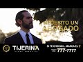 Tijerina Legal Group