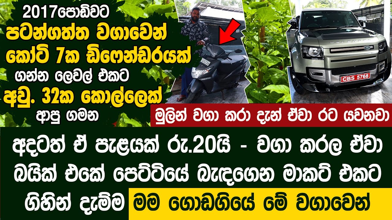 අවුරුදු 32ක් වෙනකොට කෝටි 7ක ඩිෆෙන්ඩරයක් ගන්න ලෙවල් එකට ආපු කොල්ලෙක් - Dark Scotch Bonnet | Dilco