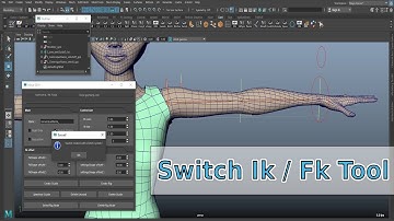 EasyRigCgi   -  Character Rig - SwitchIkFkTool