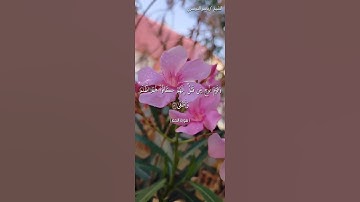 سورة النجم من آية 49 إلى آية 52 بصوت الشيخ ياسر الدوسري♥♥