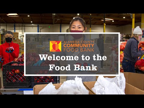 Welcome to the Food Bank