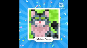 31 January 2024 Nonograms Color Daily Challenge answer &  how to solve #ZpuzzleZ