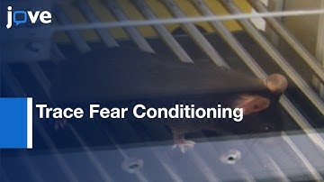 Trace Fear Conditioning In Mice l Protocol Preview