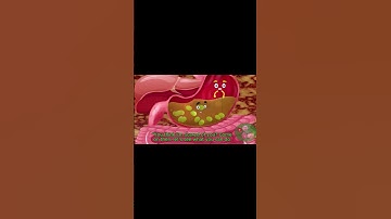 Why Do Bath room urges  Strike After Eating Grapes? #funny #education #animation