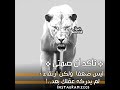 صمتي ليس ضعفا 