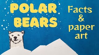 Polar bears |ഹിമക്കരടി |Facts and Paper art| doodle art| Stop motion |Bluedoll