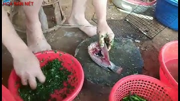 Cách làm món cá pỉnh tộp của người thái tây bắc  |HOA BAN NÉT