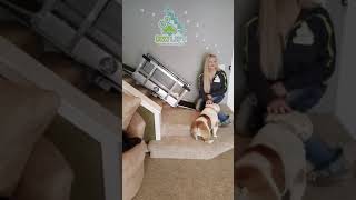 PAW LIFT Demonstration Video