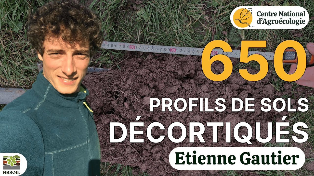 650 PROFILS DE SOL DÉCORTIQUÉS : LES LEVIERS RÉELS POUR BOOSTER LA STRUCTURE ET LA VIE
