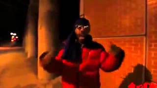 Celebrity Redman   Hammer Time OFFICIAL VIDEO Net Worth