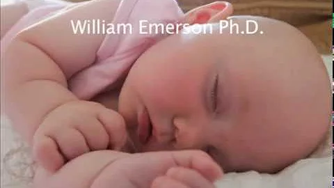 BEPE - WilliamEmerson,P...  D  The Long Term Effec...