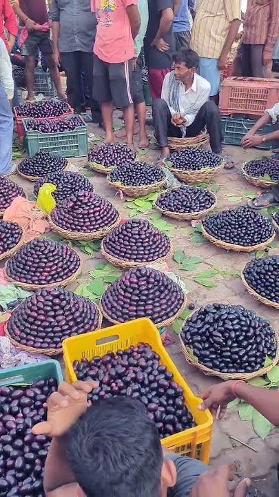 Best Jamun Market #jamun #market