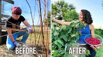 Want a BIGGER Garden Harvest?