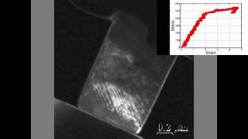 Liu14DingNanoscalemovieS1
