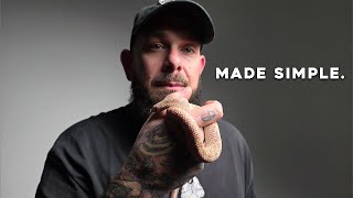 Western Hognose Snake Care Made Simple