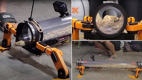 Incredible first snake to walk with  robotic legs (MUST WATCH THIS) #snake @entertainment tv